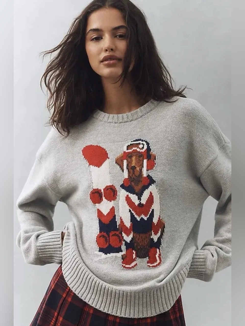 Anthropologie Porridge Jolene Pullover Sweater knit Dog print size M grey red